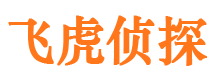 长春市私家侦探